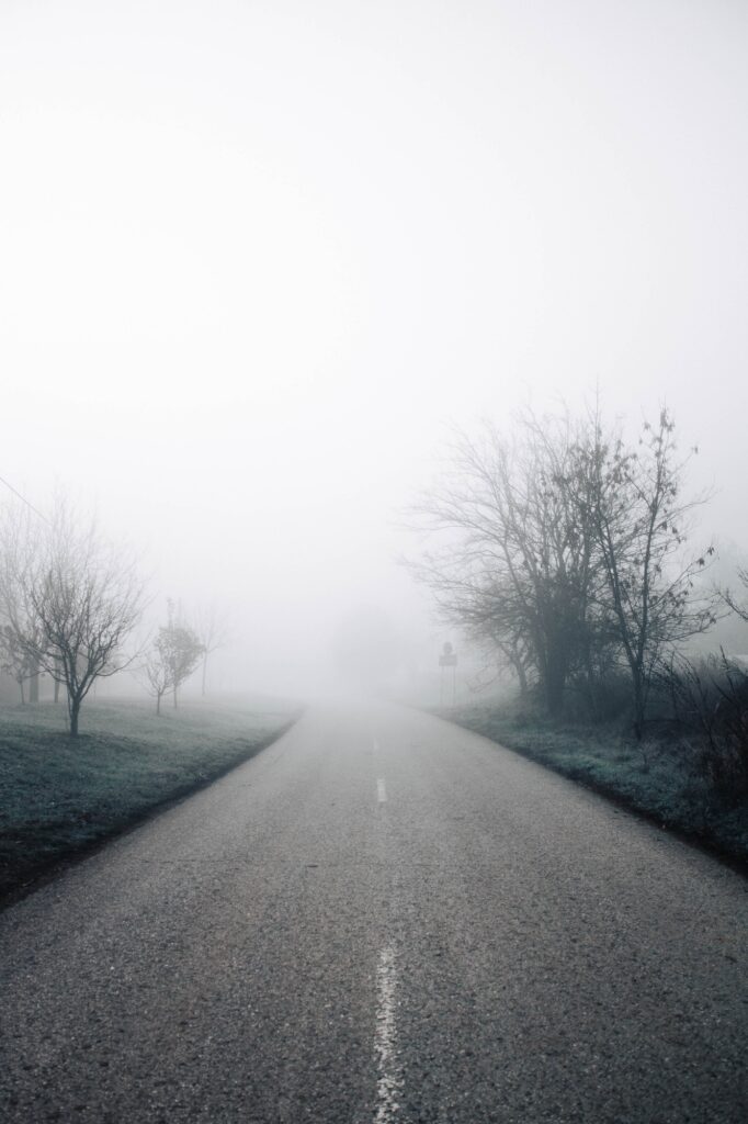 Photo on which you can see the roadway, landscape, trees in the fog. 
Photo: Gaspar Uhas